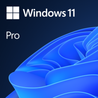Microsoft Windows 11 Pro SB 64bit dt Vv
